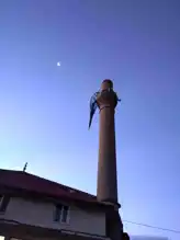 Şiddetli Rüzgar Köyde Panik Yarattı