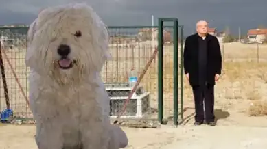 Köpeğine Mezar Yaptırdı!