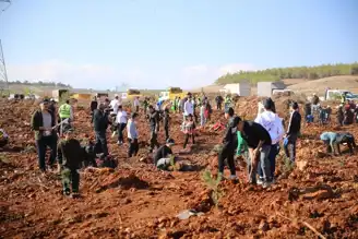Milli Ağaçlandırma Gününde Binlerce Fidan Dikildi