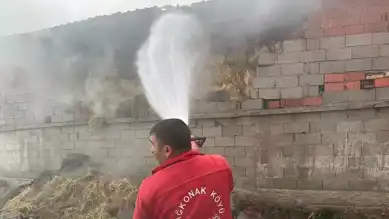Besihanede Yangın: 12 Hayvan Öldü