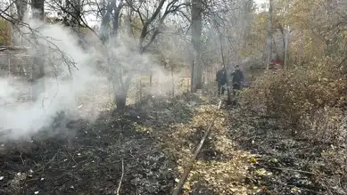 İlçede Ormanlık Alan Yandı, Hızlı Müdahaleyle Söndürüldü