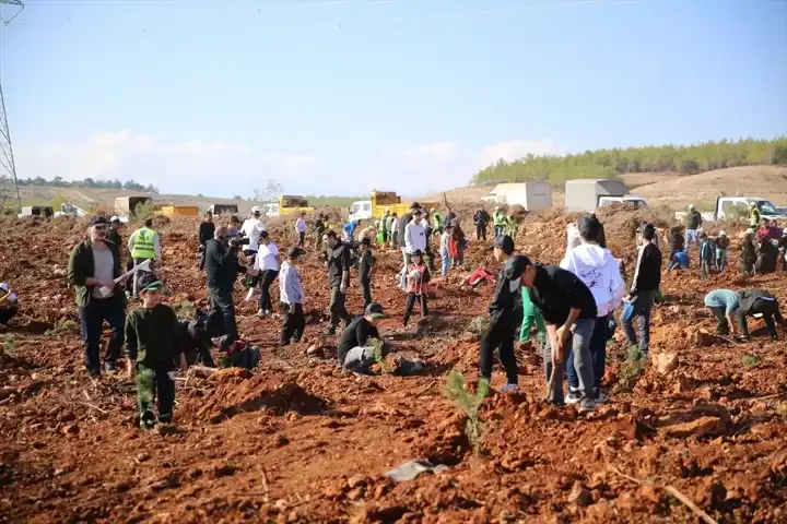 Milli Ağaçlandırma Gününde Binlerce Fidan Dikildi