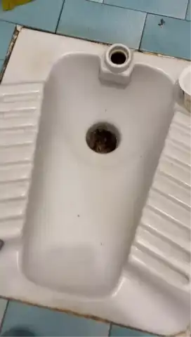 Tuvalet Borusunda Sıkışan Yavru Kedi Kurtarıldı Tuvalet Borusunda Sıkışan Yavru Kedi Kurtarıldı